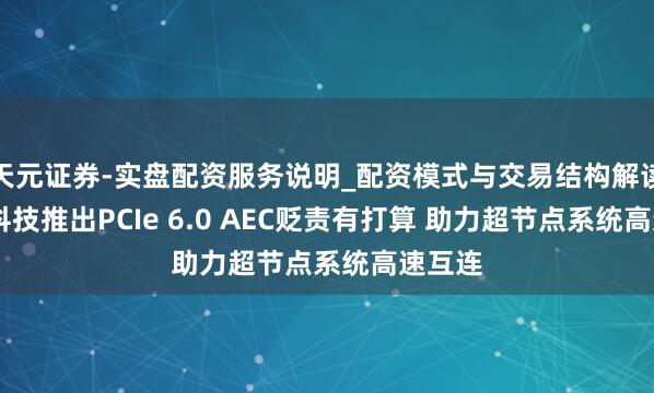天元证券-实盘配资服务说明_配资模式与交易结构解读 澜起科技推出PCIe 6.0 AEC贬责有打算 助力超节点系统高速互连