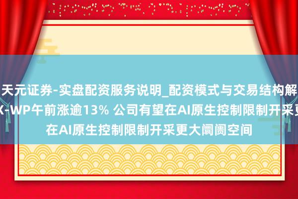 天元证券-实盘配资服务说明_配资模式与交易结构解读 MINIMAX-WP午前涨逾13% 公司有望在AI原生控制限制开采更大阛阓空间